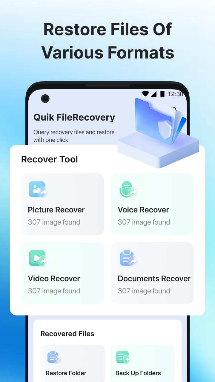 File Recovery Process
